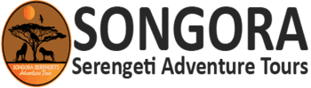 Songora Serengeti Adventures
