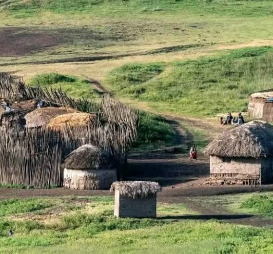 5-day safari Lake Manyara and Serengeti